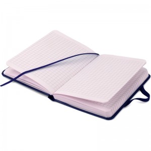 Книга записна PARTNER 95x140мм, 96л, клітинка, синя "Axent" 8301-02-А