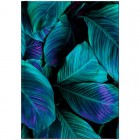 Книга канцелярська А4, 192 арк, клітинка, Flora, зелена "Axent" 8423-26-A