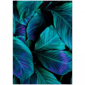 Книга канцелярська А4, 192 арк, клітинка, Flora, зелена "Axent" 8423-26-A