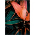 Книга канцелярська А4, 192 арк, клітинка, Flora, поморанчева "Axent" 8423-28-A