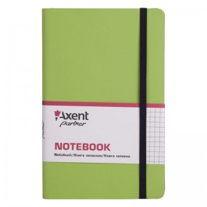 Книга записна Partner Soft, 125х195мм, 96арк, клітинка, салатова "Axent" 8206-09-A