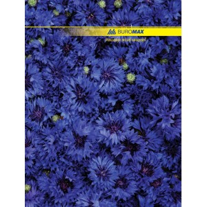 Книга канцелярська  А4, 96 арк, клітинка, NATURE,"Buromax" ВМ.2400