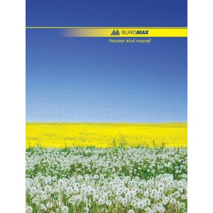 Книга канцелярська  А4, 96 арк, клітинка, NATURE,"Buromax" ВМ.2400