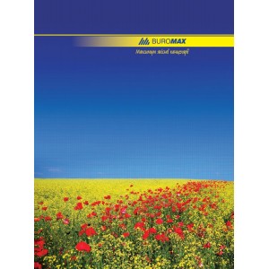 Книга канцелярська  А4, 96 арк, клітинка, NATURE,"Buromax" ВМ.2400