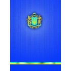 Книга канцелярська  А4, 96 арк, клітинка, UKRAINE "Buromax" ВМ.2400-38
