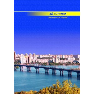 Книга канцелярська А4, 96 арк, лінія CLASSIC "BuroMAX" BM.2401