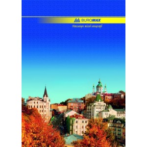 Книга канцелярська А4, 96 арк, лінія CLASSIC "BuroMAX" BM.2401