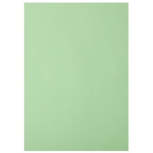 Папір кольоровий PASTEL, св.-зелений, 20 арк., А4, 80 г/м² «BuroMax» BM.2721220-15